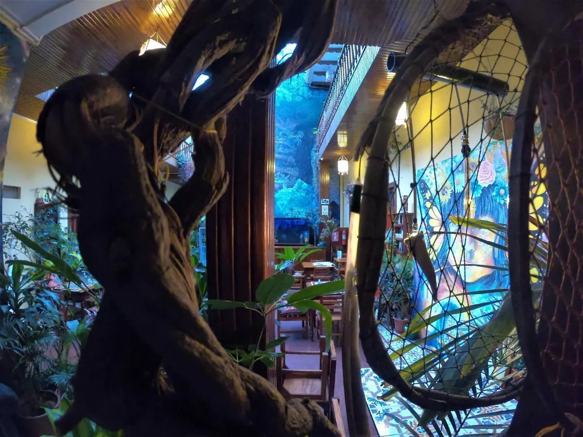 كوينكا Anicha Hostel
