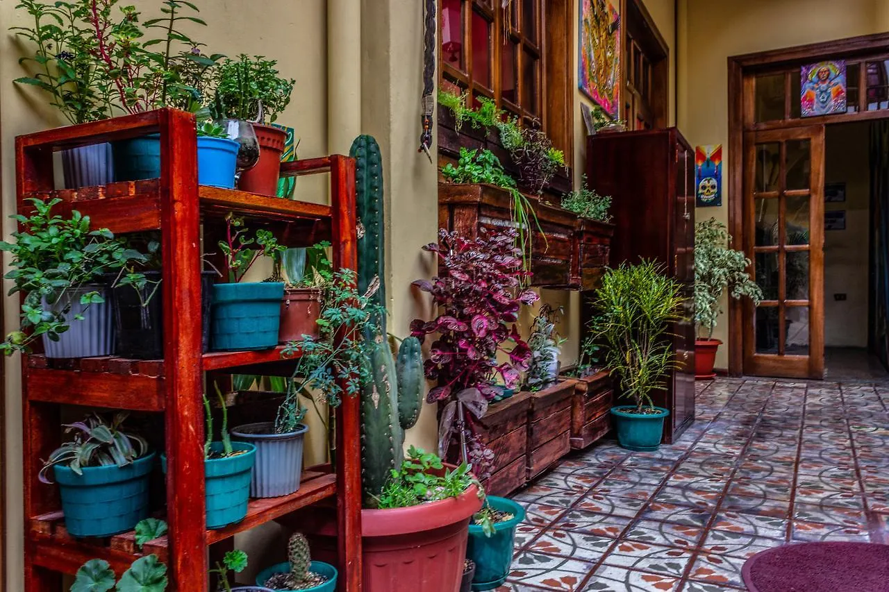 كوينكا Anicha Hostel
